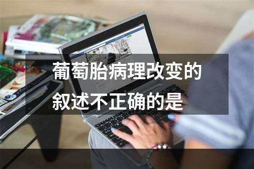 葡萄胎病理改变的叙述不正确的是