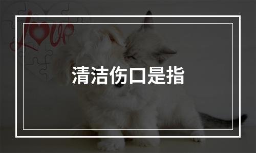 清洁伤口是指