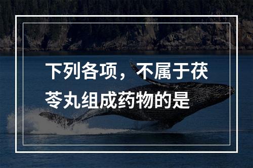 下列各项，不属于茯苓丸组成药物的是