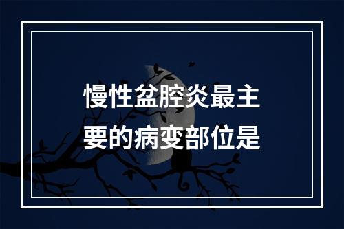 慢性盆腔炎最主要的病变部位是