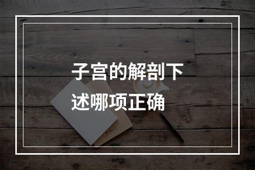 子宫的解剖下述哪项正确