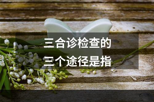 三合诊检查的三个途径是指