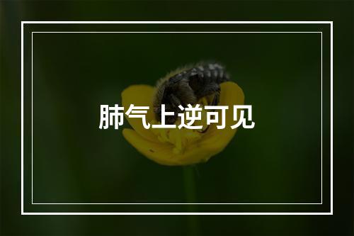 肺气上逆可见