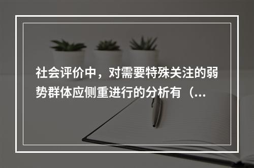 社会评价中，对需要特殊关注的弱势群体应侧重进行的分析有（　　