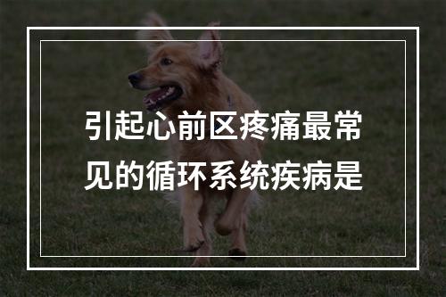 引起心前区疼痛最常见的循环系统疾病是