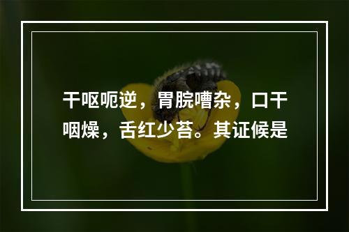 干呕呃逆，胃脘嘈杂，口干咽燥，舌红少苔。其证候是