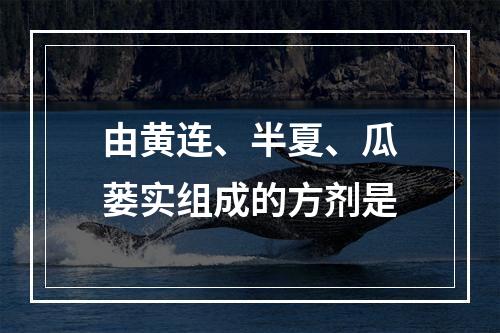 由黄连、半夏、瓜蒌实组成的方剂是