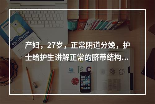 产妇，27岁，正常阴道分娩，护士给护生讲解正常的脐带结构是