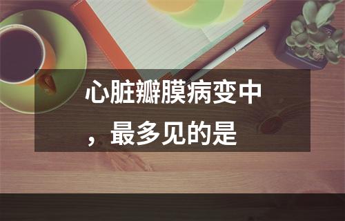 心脏瓣膜病变中，最多见的是