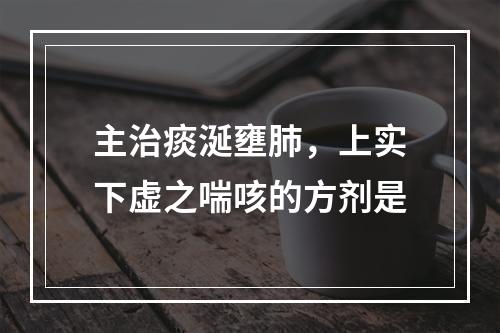 主治痰涎壅肺，上实下虚之喘咳的方剂是