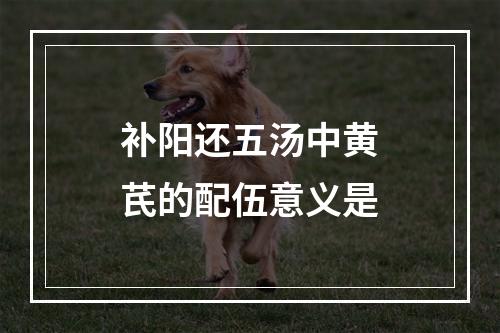 补阳还五汤中黄芪的配伍意义是