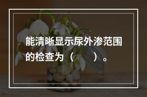 能清晰显示尿外渗范围的检查为（　　）。