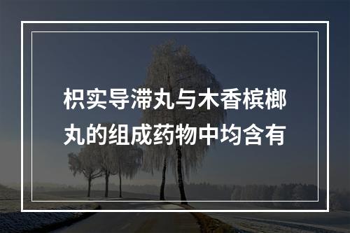 枳实导滞丸与木香槟榔丸的组成药物中均含有