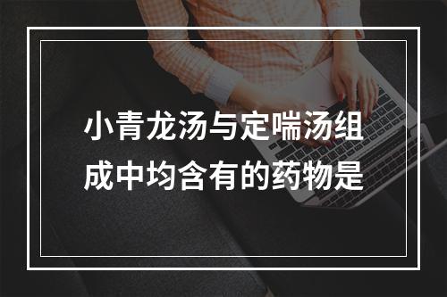 小青龙汤与定喘汤组成中均含有的药物是