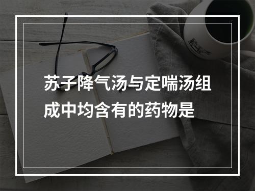 苏子降气汤与定喘汤组成中均含有的药物是