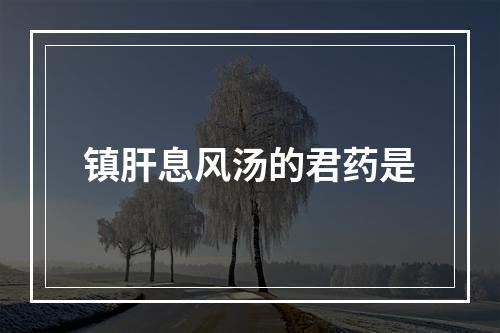 镇肝息风汤的君药是