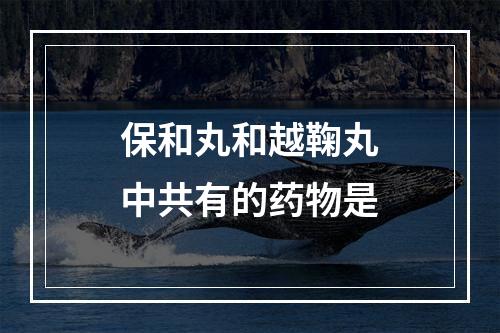 保和丸和越鞠丸中共有的药物是