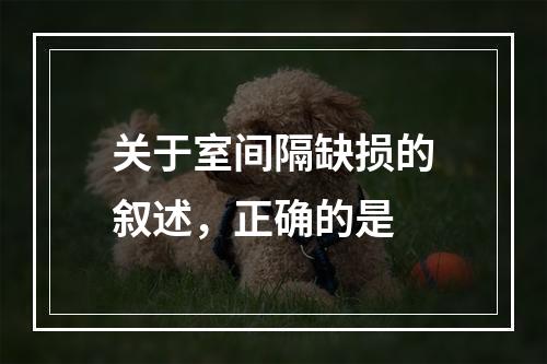 关于室间隔缺损的叙述，正确的是