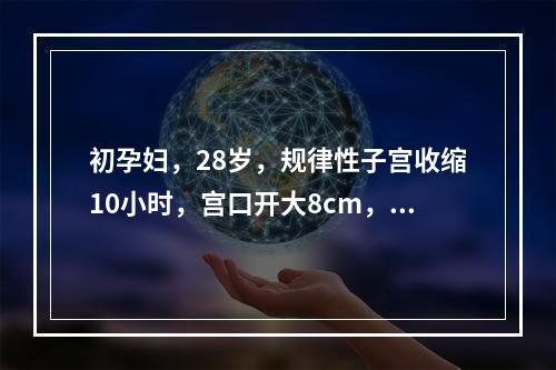 初孕妇，28岁，规律性子宫收缩10小时，宫口开大8cm，胎心