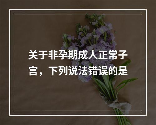 关于非孕期成人正常子宫，下列说法错误的是