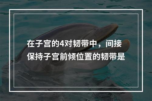 在子宫的4对韧带中，间接保持子宫前倾位置的韧带是