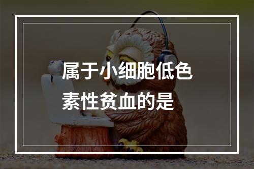 属于小细胞低色素性贫血的是