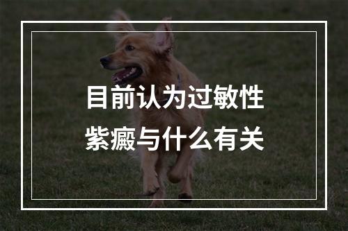 目前认为过敏性紫癜与什么有关