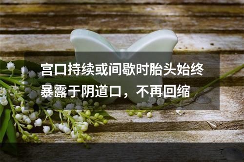 宫口持续或间歇时胎头始终暴露于阴道口，不再回缩