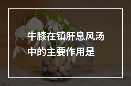 牛膝在镇肝息风汤中的主要作用是