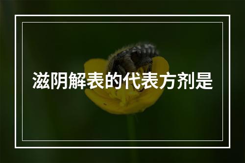 滋阴解表的代表方剂是