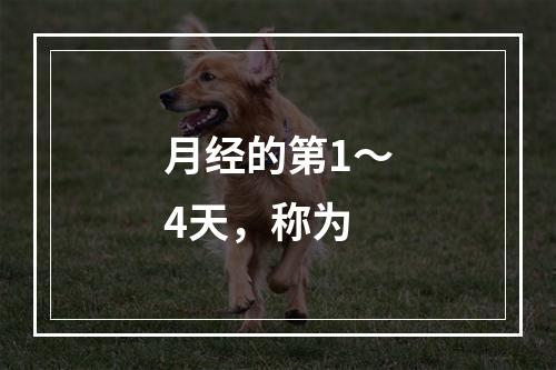 月经的第1～4天，称为