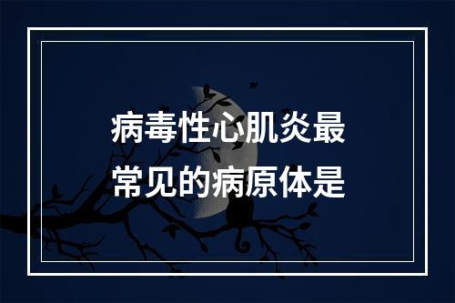 病毒性心肌炎最常见的病原体是