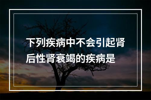 下列疾病中不会引起肾后性肾衰竭的疾病是