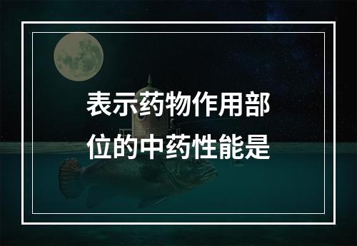 表示药物作用部位的中药性能是