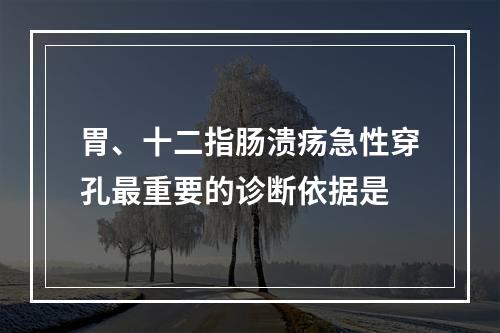 胃、十二指肠溃疡急性穿孔最重要的诊断依据是