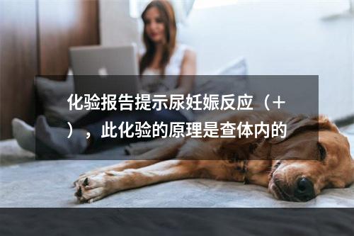 化验报告提示尿妊娠反应（＋），此化验的原理是查体内的