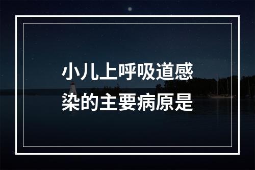 小儿上呼吸道感染的主要病原是