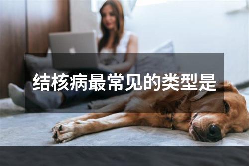 结核病最常见的类型是