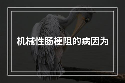 机械性肠梗阻的病因为