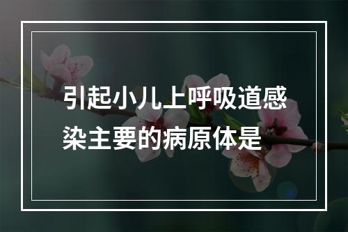 引起小儿上呼吸道感染主要的病原体是