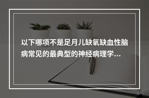 以下哪项不是足月儿缺氧缺血性脑病常见的最典型的神经病理学改变