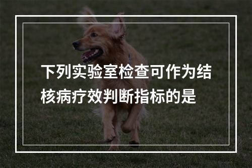 下列实验室检查可作为结核病疗效判断指标的是