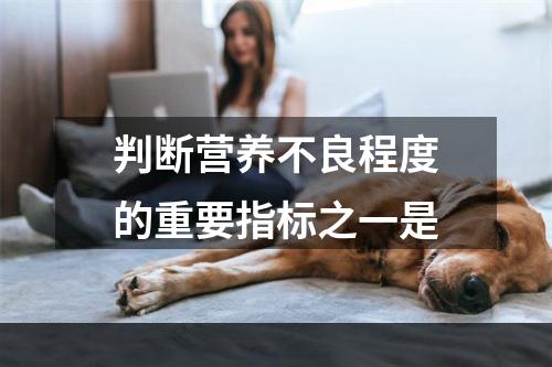 判断营养不良程度的重要指标之一是