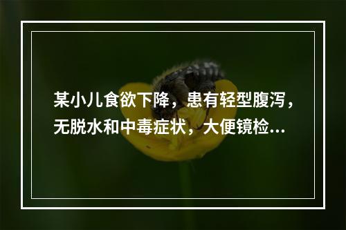 某小儿食欲下降，患有轻型腹泻，无脱水和中毒症状，大便镜检有脂