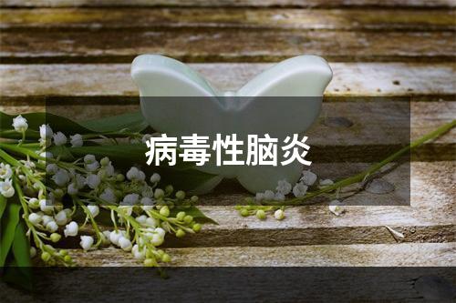 病毒性脑炎