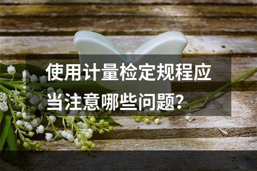 使用计量检定规程应当注意哪些问题？