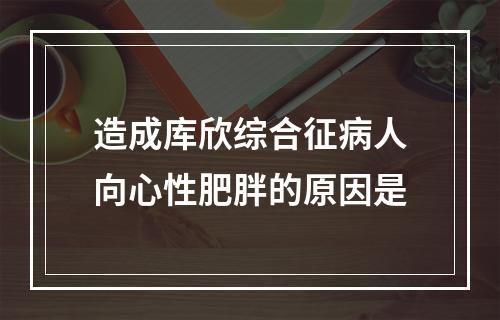 造成库欣综合征病人向心性肥胖的原因是