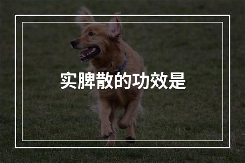 实脾散的功效是