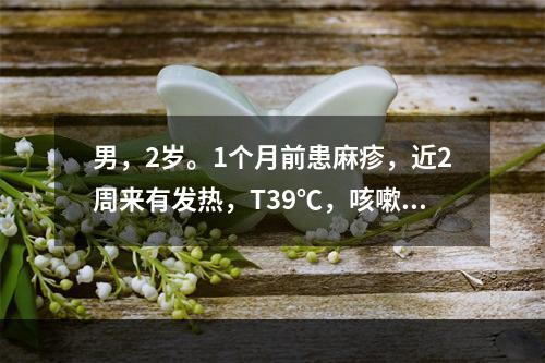 男，2岁。1个月前患麻疹，近2周来有发热，T39℃，咳嗽.气