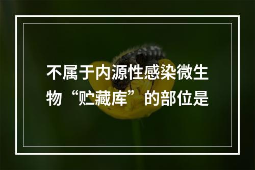 不属于内源性感染微生物“贮藏库”的部位是